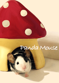 Panda mouse