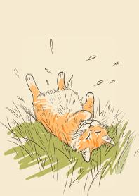 ภาพประกอบแมวน่ารัก 5