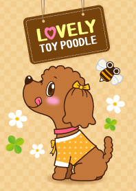Lovely! Toy poodle