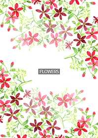 water color flowers_524