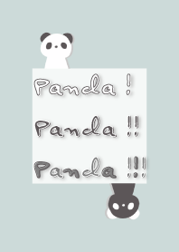 Panda ! Panda !! Panda !!!