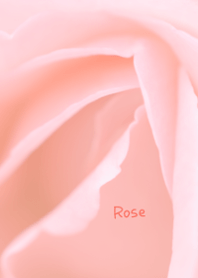 Rose Theme ver.Japan 5