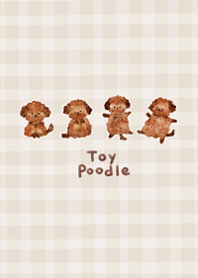 cute love toy poodle7.
