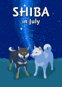 SHIBA in July