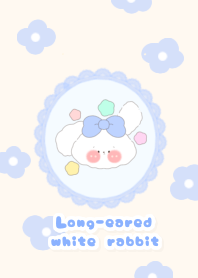 Long-eared white rabbit3