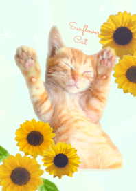 Sunflower cat (green)
