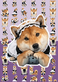 Maid's Shiba Inu Dark Purple