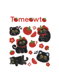 Tomeowto Black Cat