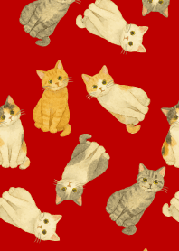 A suspicious cat on red & beige