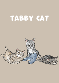 tabbycat5 / tan