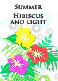 Summer(Hibiscus and light)