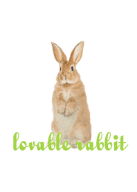 lovable rabbit