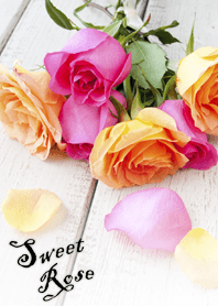 Sweet Roses