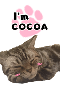 I'm COCOA!