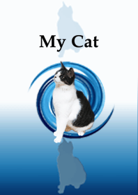Cat of my home