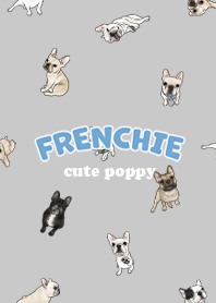 frenchie7 / grey