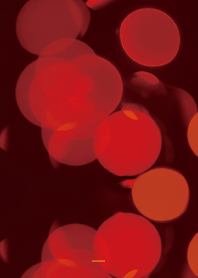 Orange : Deep sea jellyfish