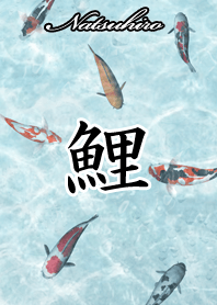 なつひろ用和風鯉