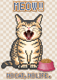 ニャー!! 5