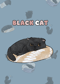 blackcat6 - pale blue