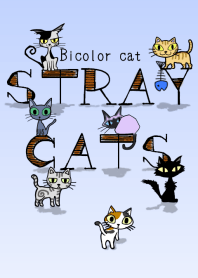 STRAY CATS -Bicolor cat-