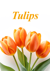 "Tulips vol.15" theme
