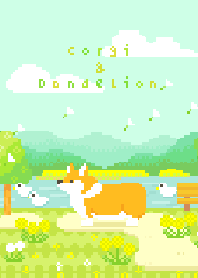 Corgi & Dandelion.