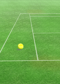 テニス オムニコート