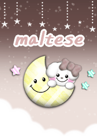 sky5 maltese dog theme brown