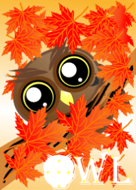 Cute Owl (Maple Leaf)