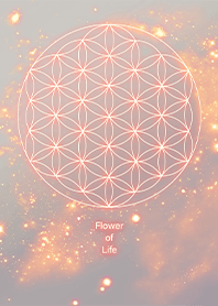 ทางช้างเผือกอันสดใสดอกไม้แห่งชีวิต 6