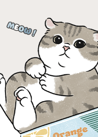 neko single14 / light beige