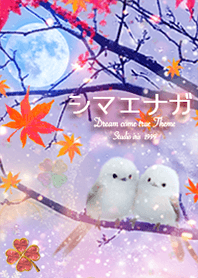 シマエナガとクローバー✨運気上昇⤴︎秋