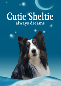 Cutie Sheltie