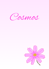 花シリーズ Cosmos