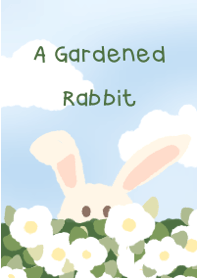 A Gardened Rabbit
