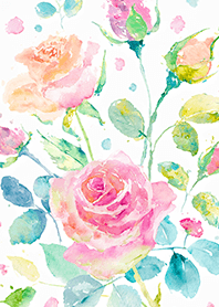 Beautiful rose flower(R4383)