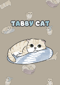 creamtabby3 - khaki