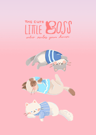 Little boss