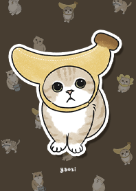 neko combo3 / chocolate