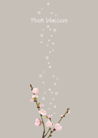 January's birth flower,Plum blossom