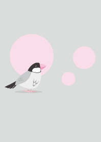 Cherry blossom sparrow