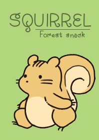 Squirrel and forest snack