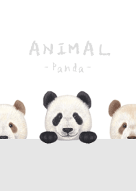 ANIMAL - Panda - WHITE/GRAY