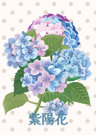 Hydrangea flower 12