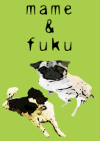 My Dog. Mame&Fuku