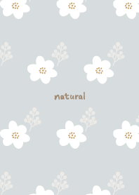 Small flower and fruits13 from Japan