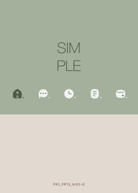 P41.13_smoky matte ash brown2-6