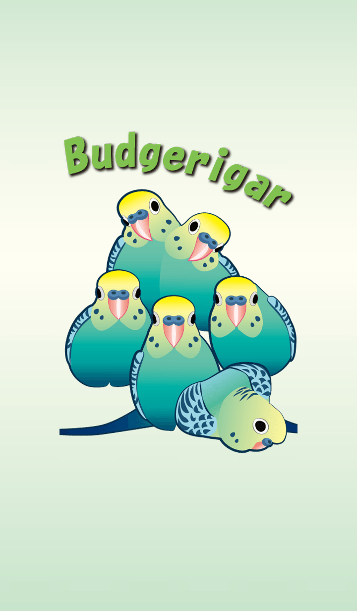 Changing clothe of Budgerigar
