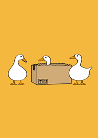 我養了幾隻鴨箱寶(黃色)